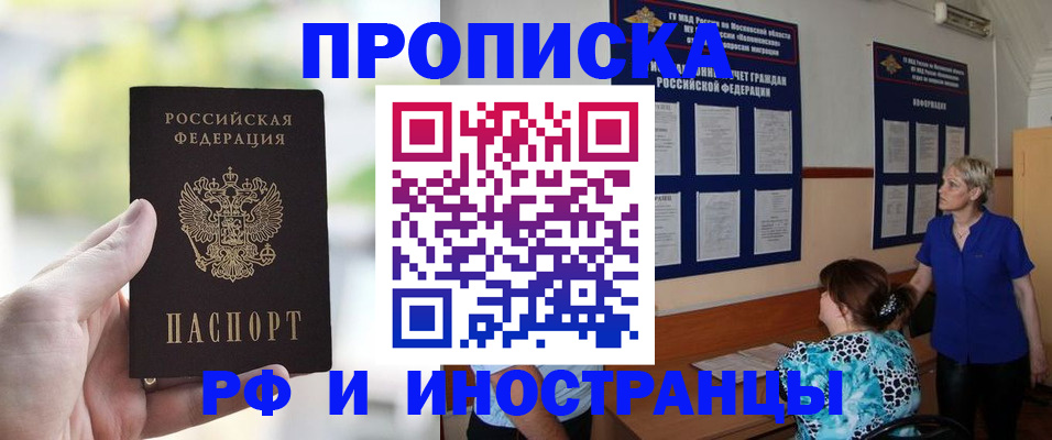 где прописаться в Коле